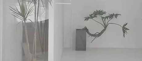 南寧展廳設計裝修中如何熟練運用材料的秘密!