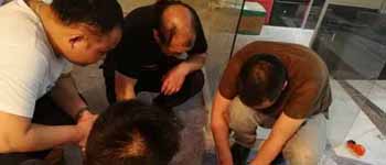 你見過如此認(rèn)真對(duì)待工作的南寧裝飾公司師傅們嗎？