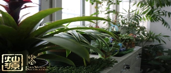 南寧裝修公司教你怎樣去除裝修后的異味