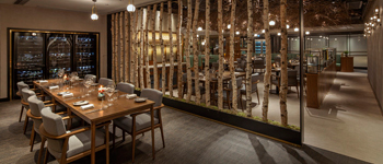 充滿生命力的創(chuàng)意餐廳設計案例 香港根須創(chuàng)意餐廳設計