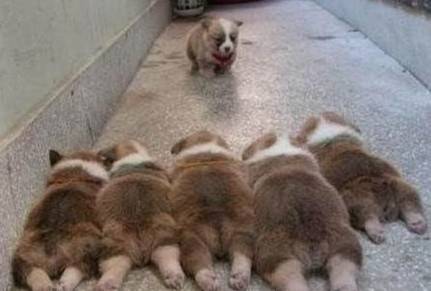 孫宇晨邀請(qǐng)?zhí)乩势? />
</p>
<h2>
	孫宇晨邀請(qǐng)?zhí)乩势?nbsp;&nbsp; 小燦扒出特朗普辦公室俯視圖
</h2>
<p style=