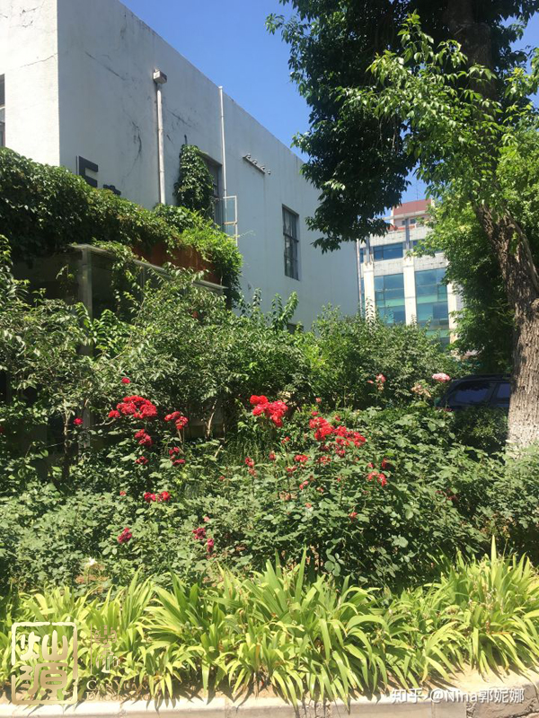 知乎F輪4.5億融資實錘 【多圖】探究知乎歷輪融資歷史及你不知道的知乎公司辦公室